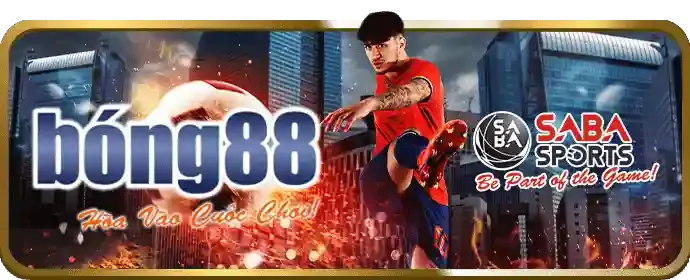 Hoàn trả cược thua k9cc